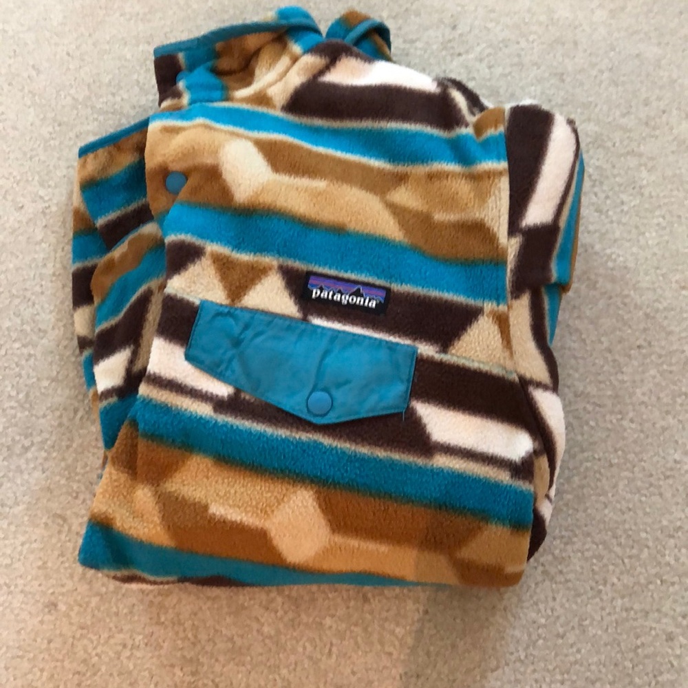 Patagonia Synchilla Pullover